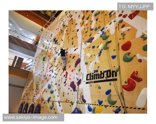 北京极限运动队心理素质研究：挑战极限背后的心灵力量与团队协作