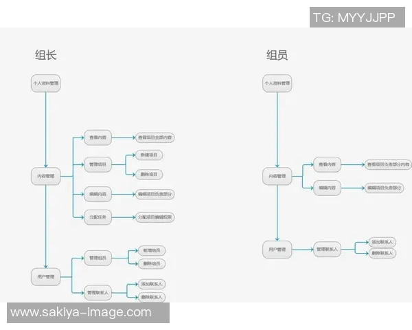 极限运动战术探秘上海极限运动队的快速进攻与团队协作体系解析