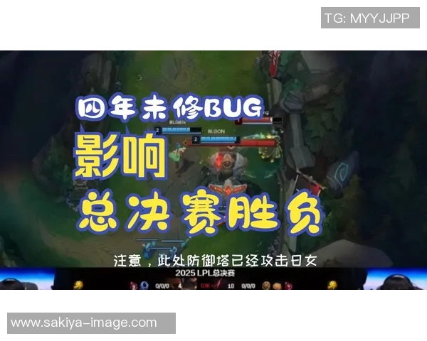 全球总决赛分析：TES团队配合与战术执行的精彩表现