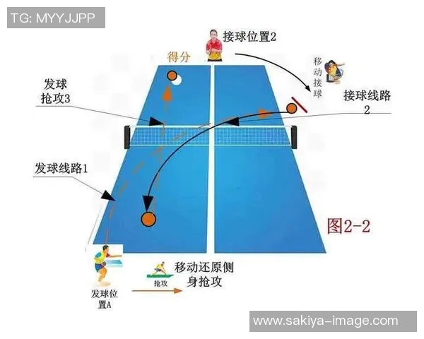 深入分析杭州乒乓球队的进攻战术与技术特点解析