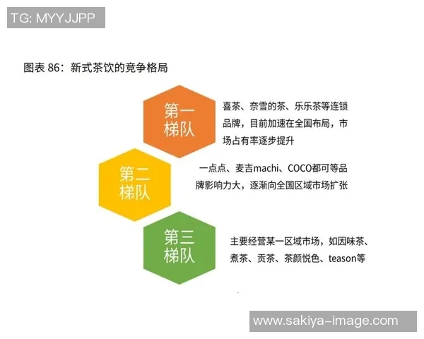 西安足球队运营模式解析与未来发展展望 西安足球队运营模式解析与未来发展展望