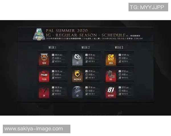 聚焦CSGO分析WE战队实力与战术发展现状探讨