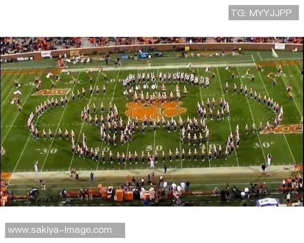 金海对阵庆州水利精彩直播回顾与赛后分析全景呈现