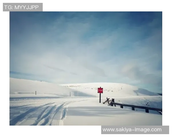 盐湖城与西雅图音速的对决分析与赛季展望