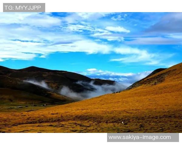 萨林杰的文学世界探索与心灵旅程：从孤独到共鸣的深度剖析
