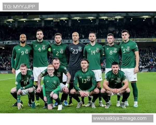 葡萄牙与立陶宛比赛前瞻分析及胜负预测详解