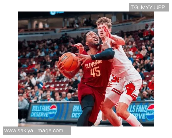 骑士与老鹰激战NBA1213赛季精彩回顾与精彩瞬间分析