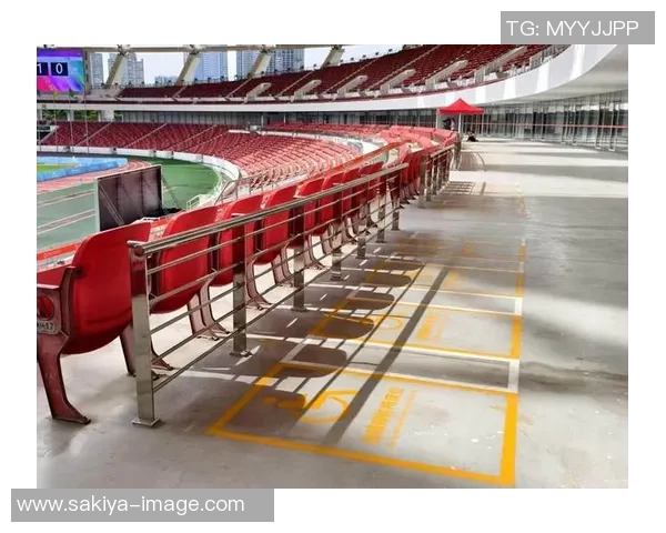 特奥精神闪耀全球展现无障碍体育的无限可能与希望