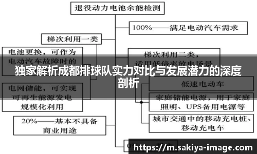 独家解析成都排球队实力对比与发展潜力的深度剖析