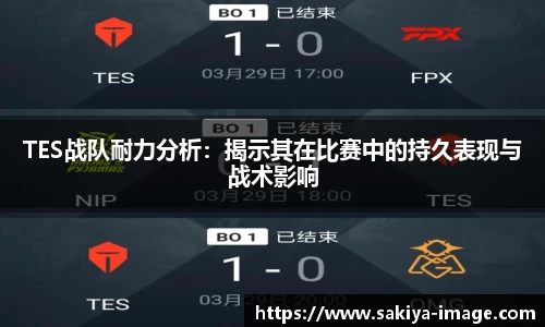 TES战队耐力分析：揭示其在比赛中的持久表现与战术影响