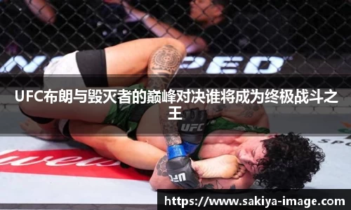 UFC布朗与毁灭者的巅峰对决谁将成为终极战斗之王
